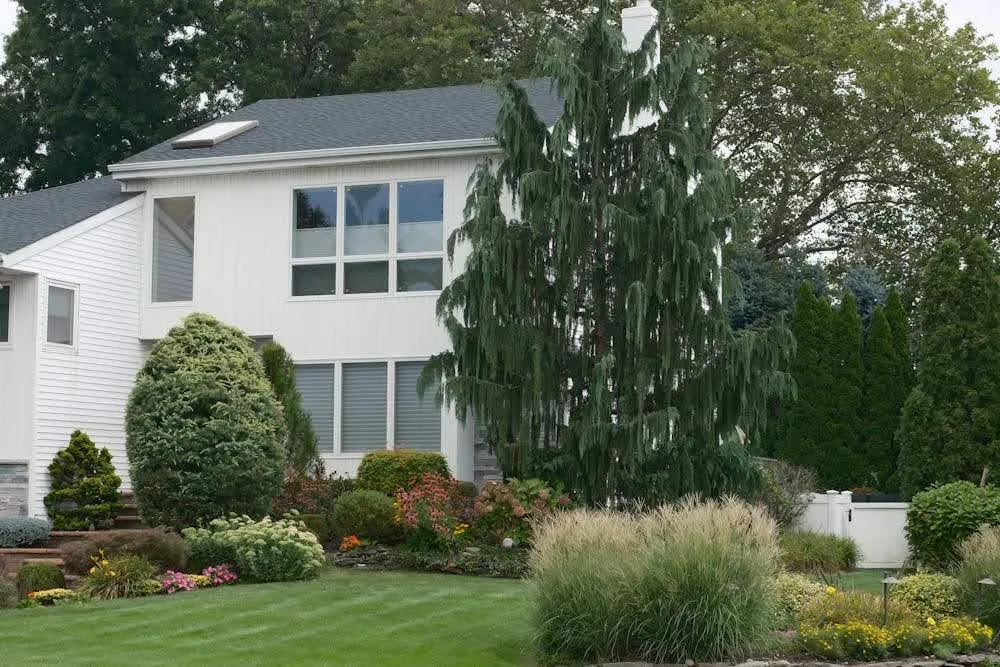 Custom Windows and Doors: How to Create a Unique Look for Your Home